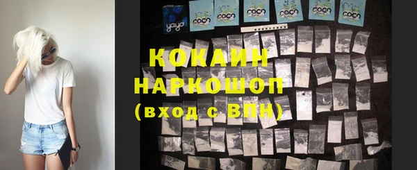 сатива Верея