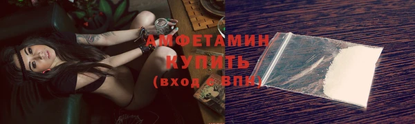 сатива Верея