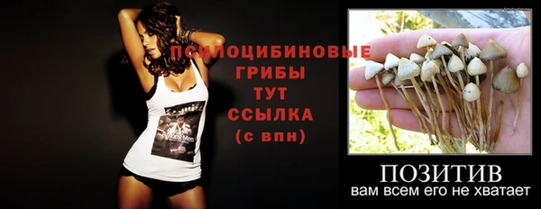 стафф Верхний Тагил
