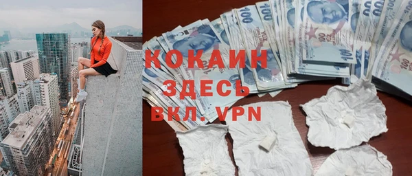 сатива Верея