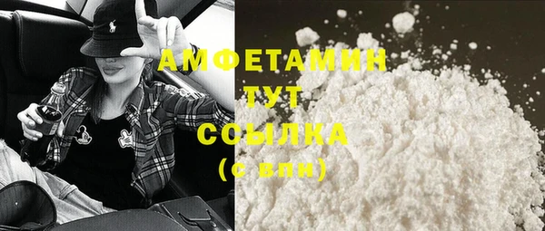 стаф Володарск